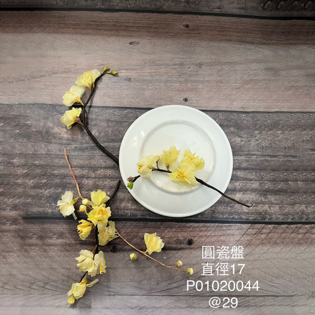 圓瓷盤17cm-P01020044